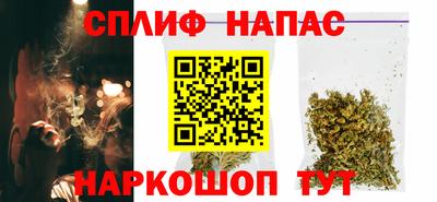 сатива Бузулук