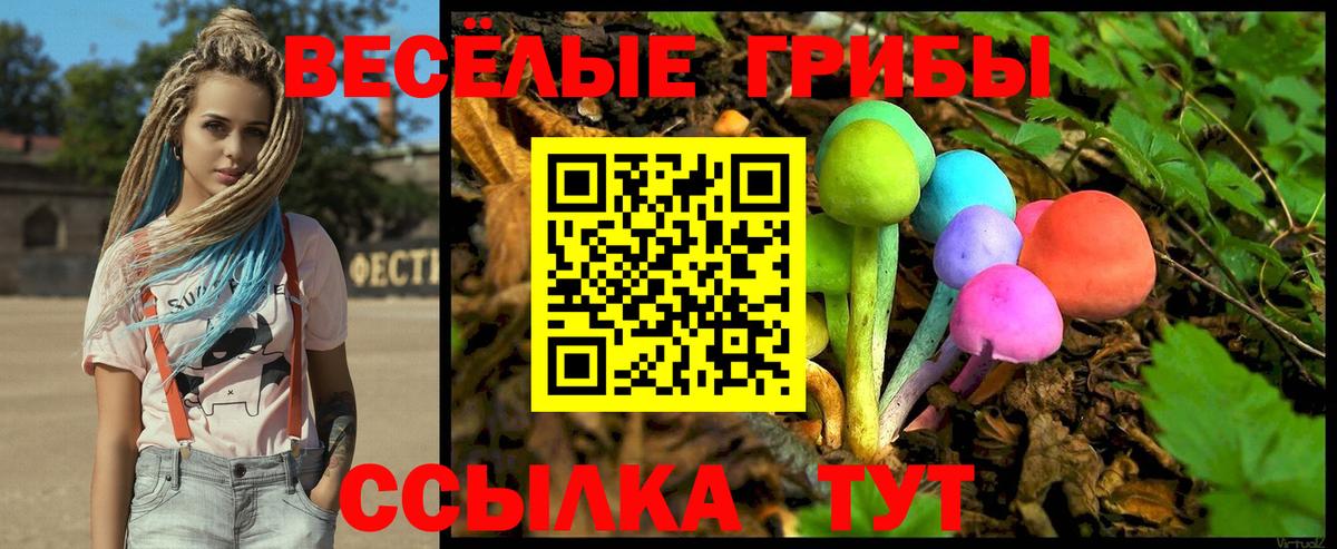 Псилоцибиновые грибы мицелий  Галлюциногенные грибы Psilocybe  Салехард  Вход с VPN 