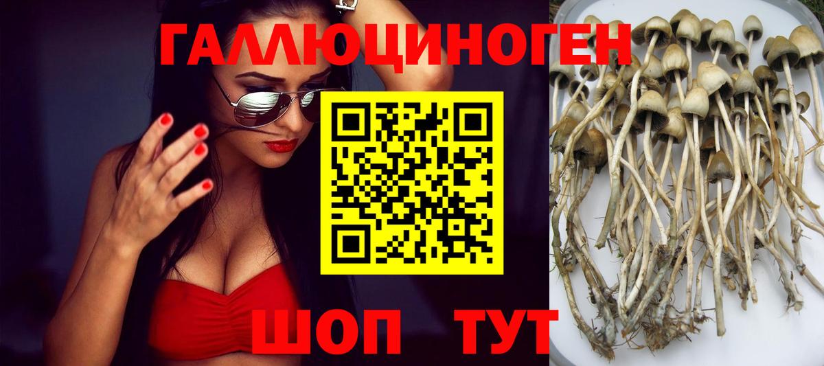 Галлюциногенные грибы мицелий Салехард